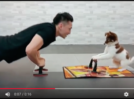 Fitness exercise with your dog – Eric Ko & Teeny